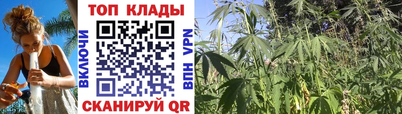 Купить наркотик аптеки Михайлов ГАШИШ Каннабис Альфа ПВП OMG tor Меф мяу мяу АМФ