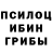 Галлюциногенные грибы Psilocybe Causality