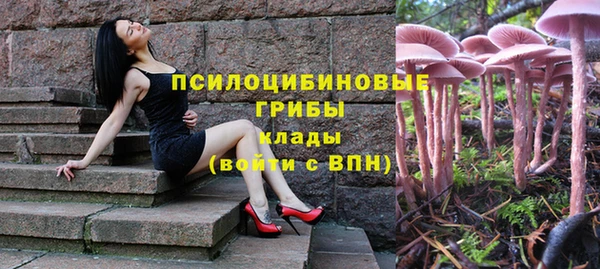 винт Белокуриха